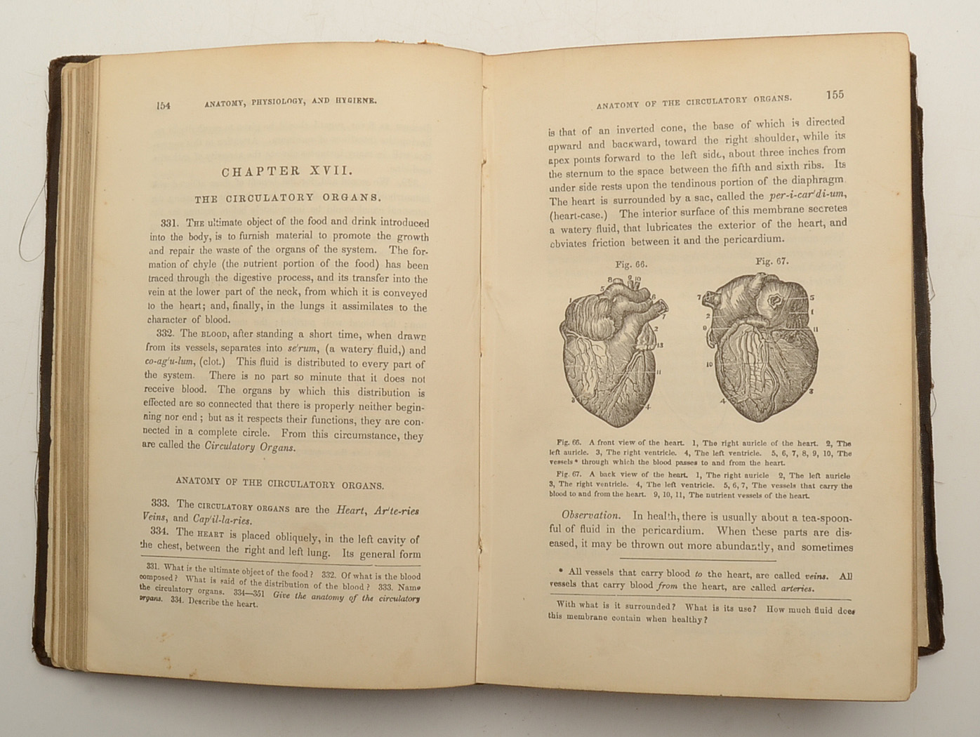 Pair of Antique Anatomy Books by Calvin Cutter MD