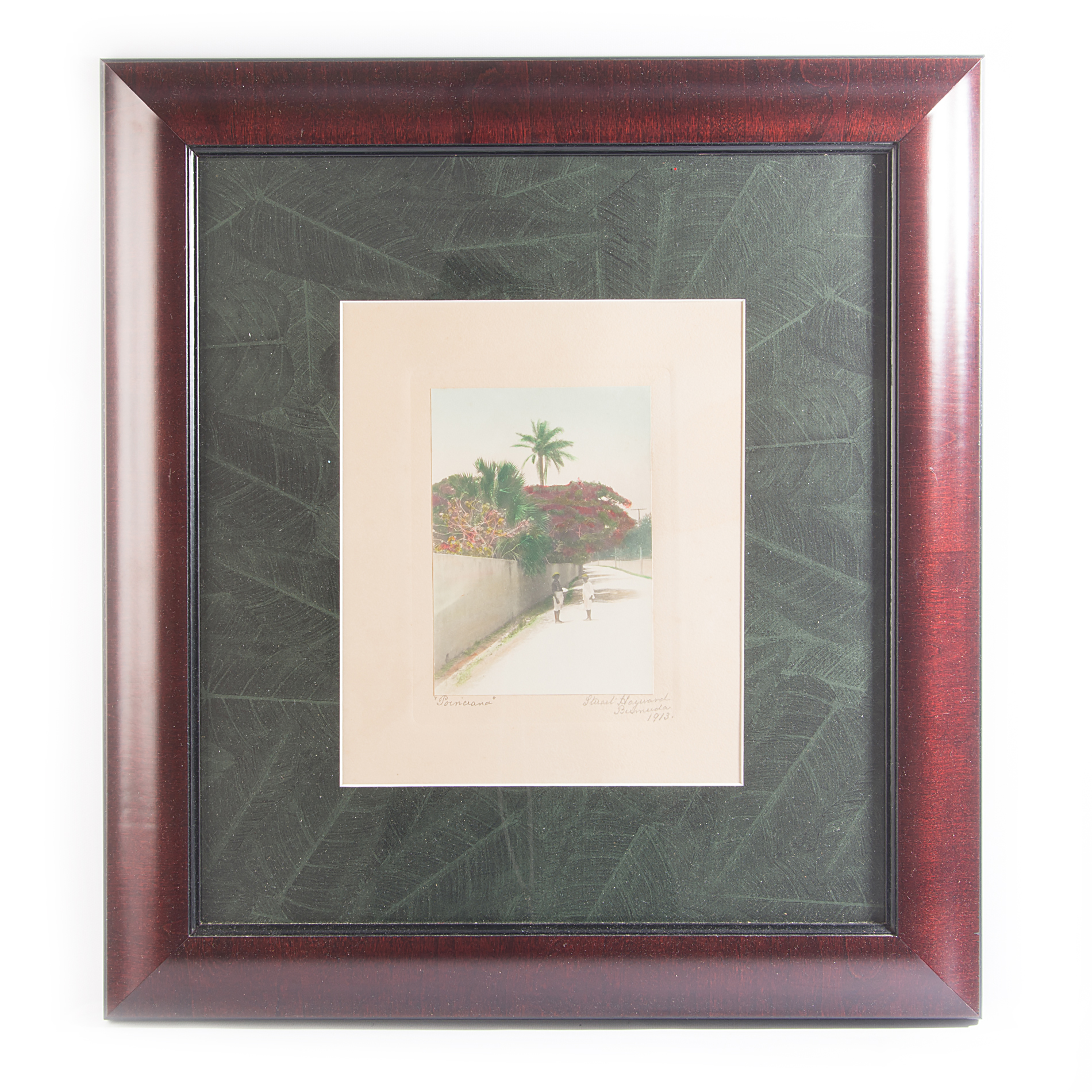 Stuart Hay Antique Hand-Colored Photographic Print "Poinciana"