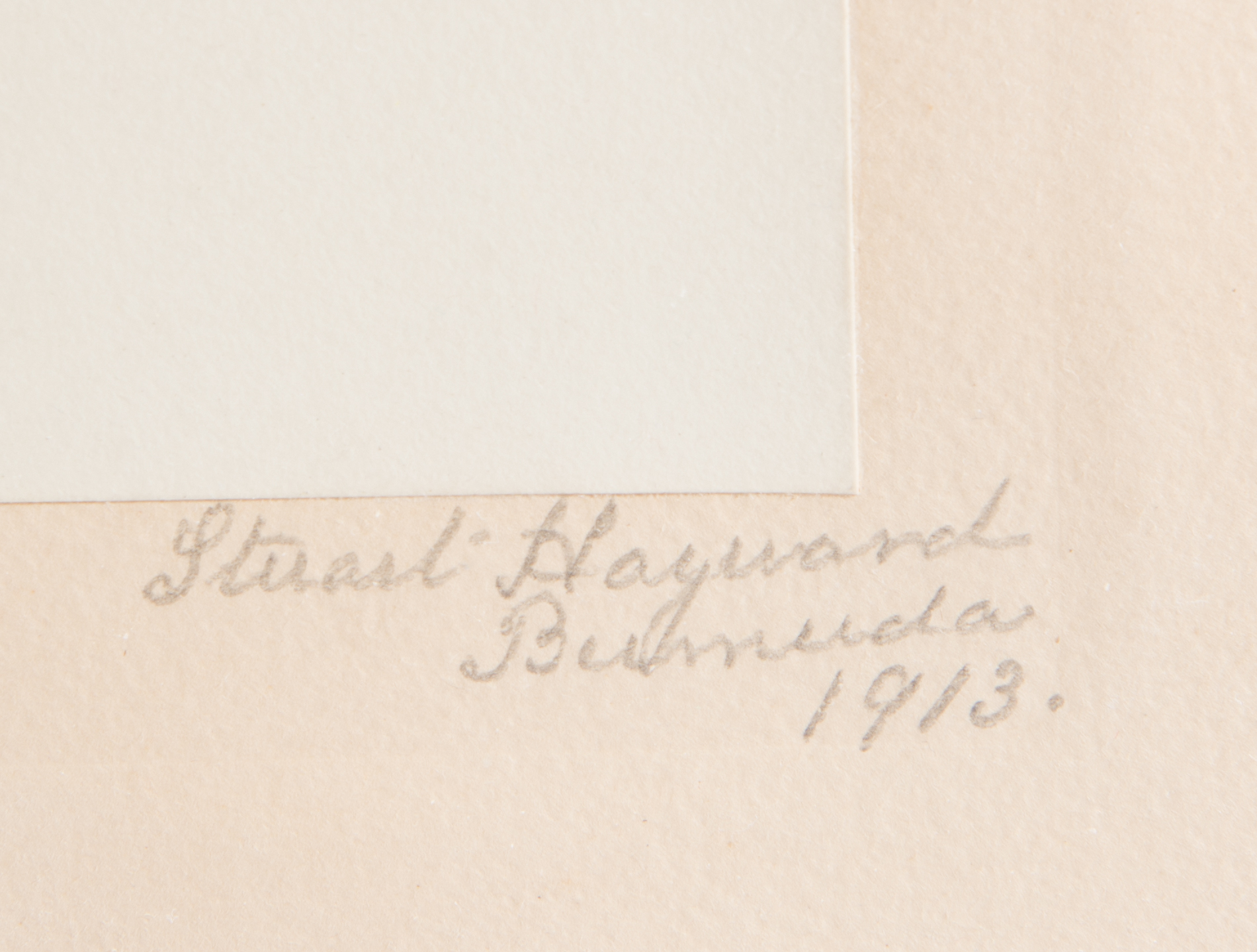 Stuart Hay Antique Hand-Colored Photographic Print "Poinciana"