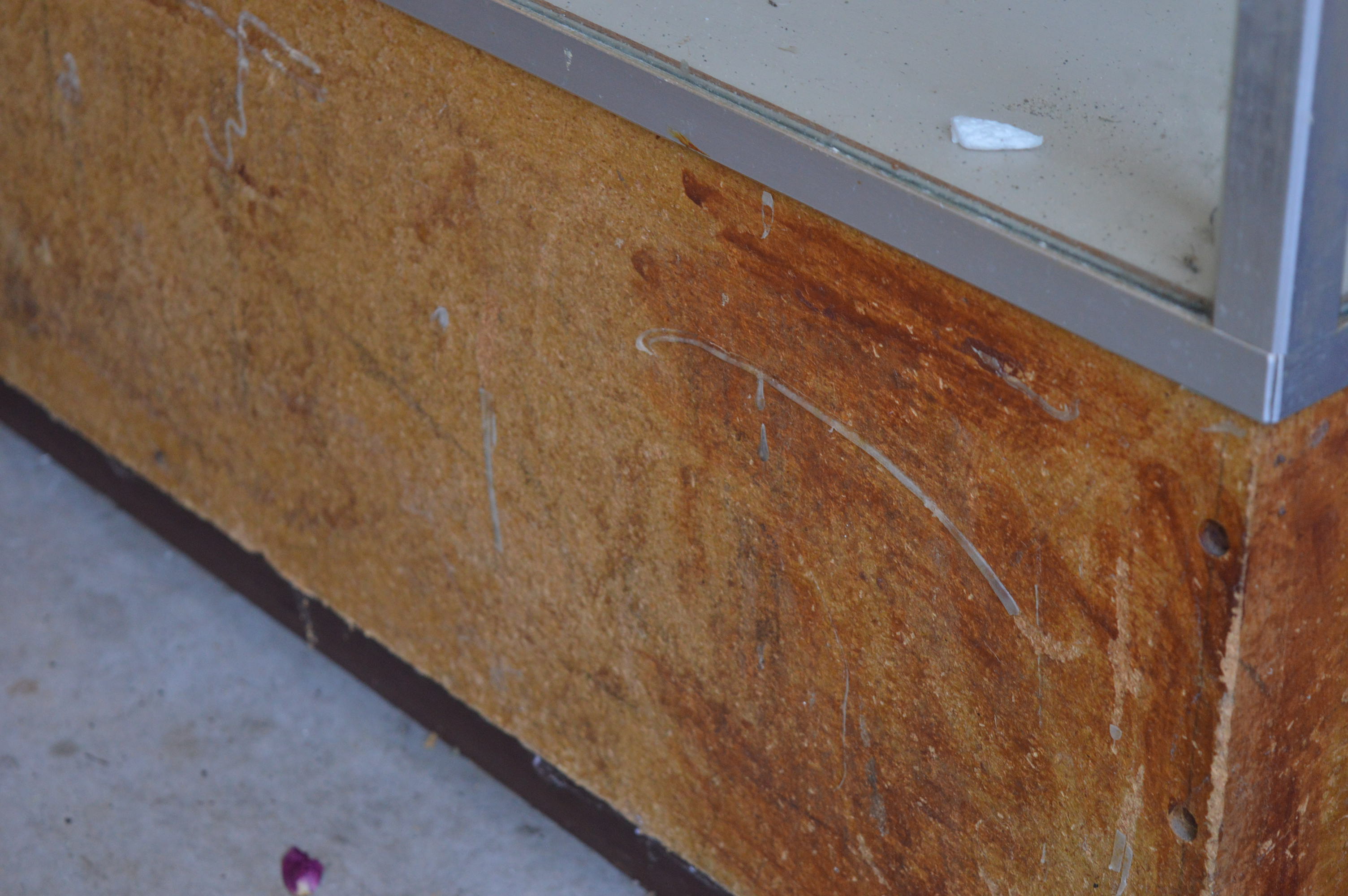 Vintage Glass Retail Display Case