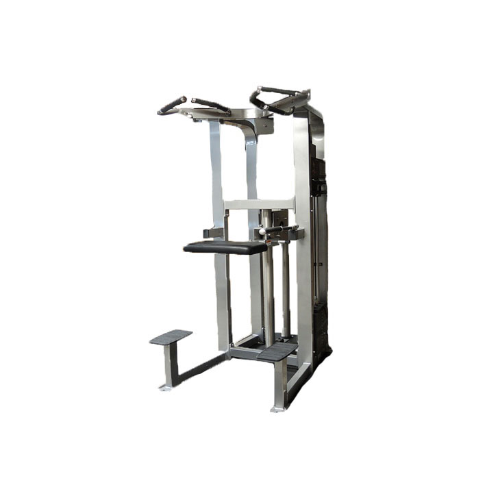 Life Fitness Assist Dip Chin Machine
