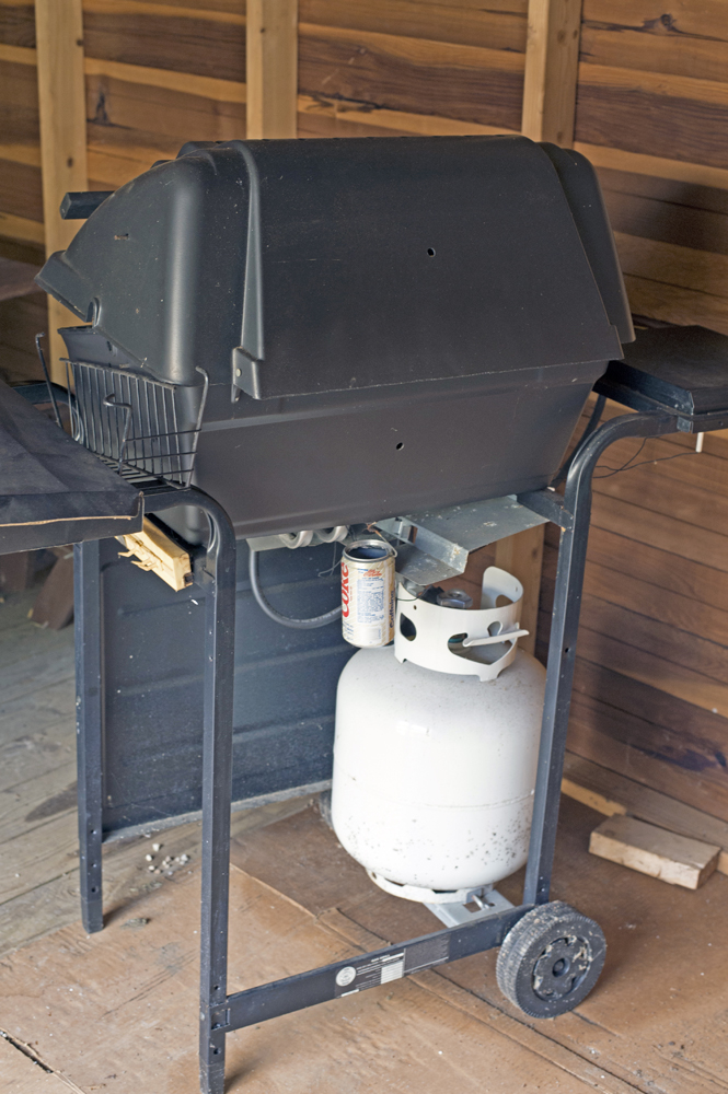 Sunbeam GrillMaster 540 Gas Grill