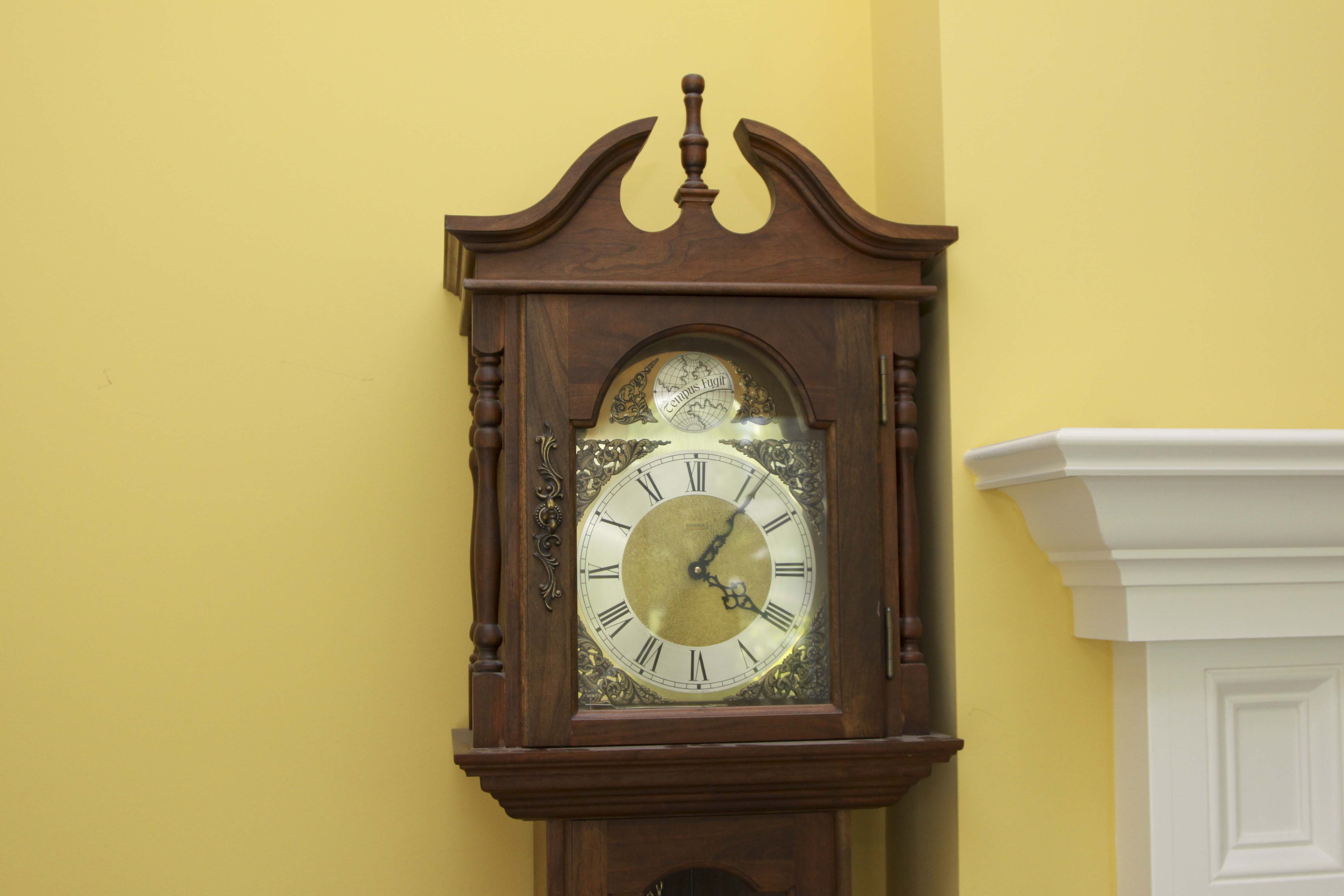 Tempus Fugit Grandfather Clock