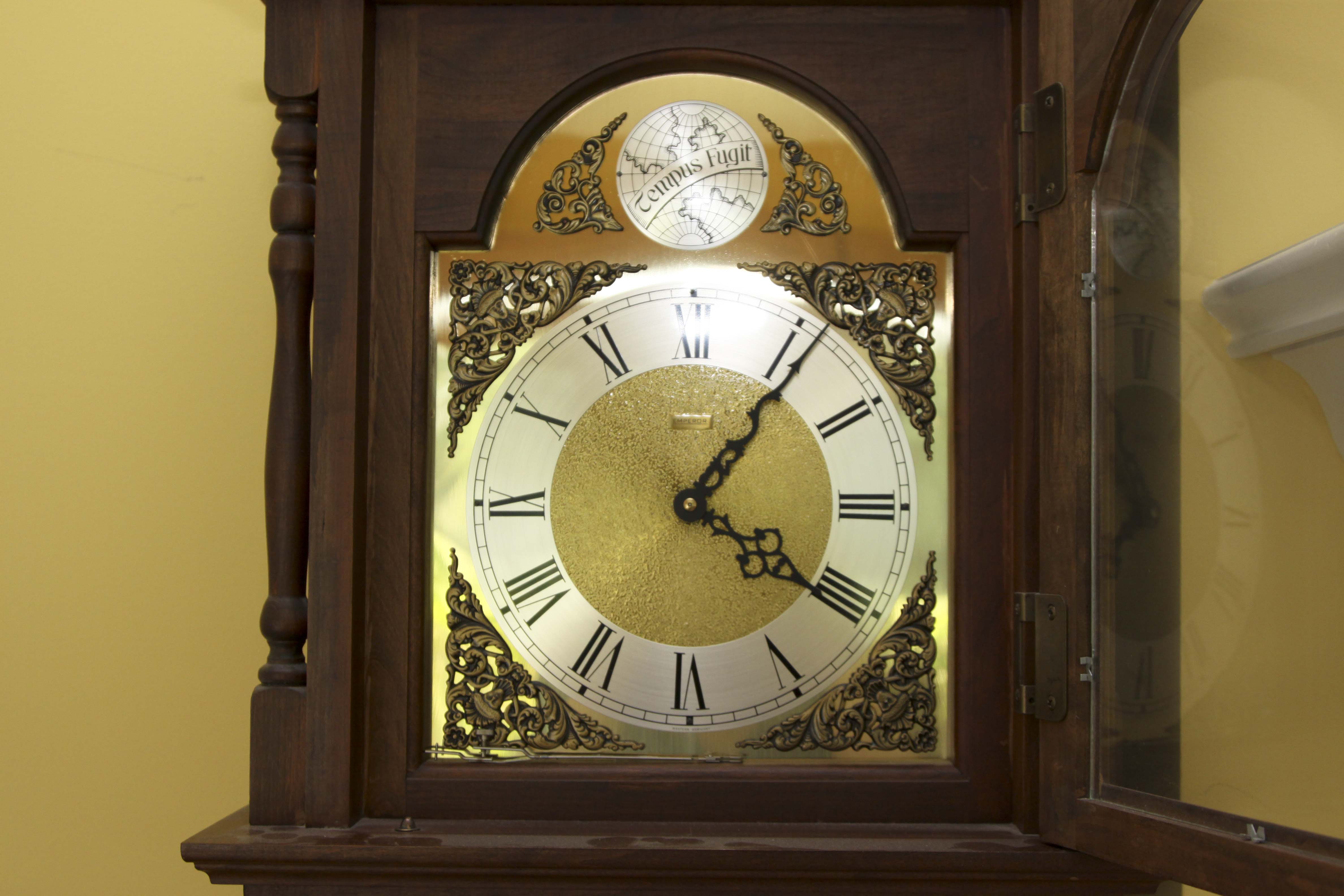 Tempus Fugit Grandfather Clock