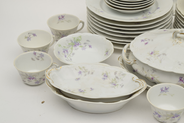 Bassett Limoges Austria China Set