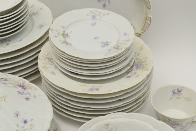 Bassett Limoges Austria China Set