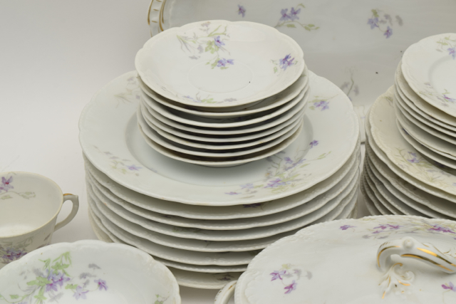 Bassett Limoges Austria China Set