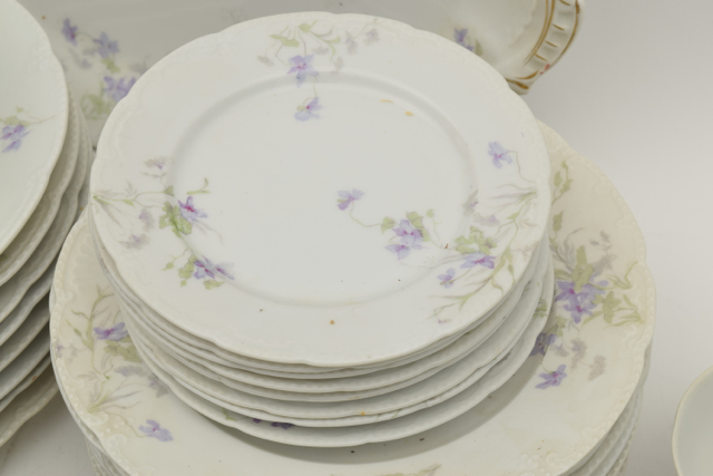 Bassett Limoges Austria China Set