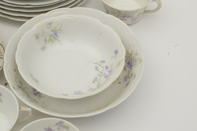 Bassett Limoges Austria China Set