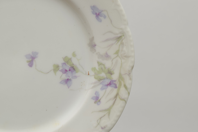 Bassett Limoges Austria China Set