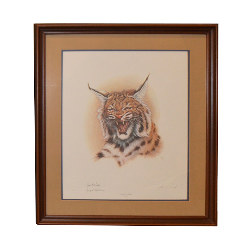 Limited Edition Print After Jim Oliver of "Kentucky Wildcat"