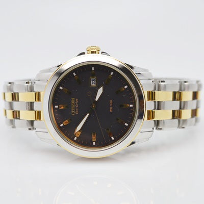 Citizen Eco-Drive WR 100 Men's Watch