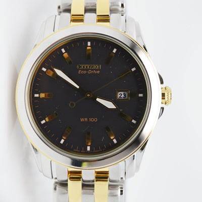 Citizen Eco-Drive WR 100 Men's Watch