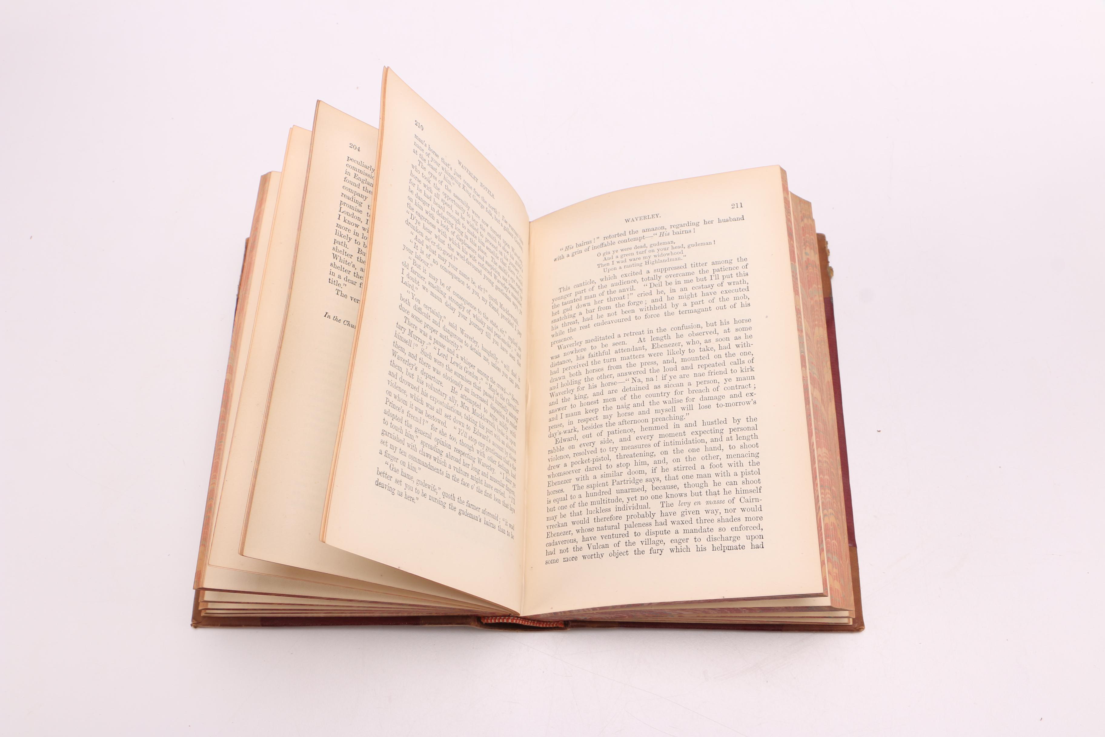 Antique Walter Scott Novel Collection