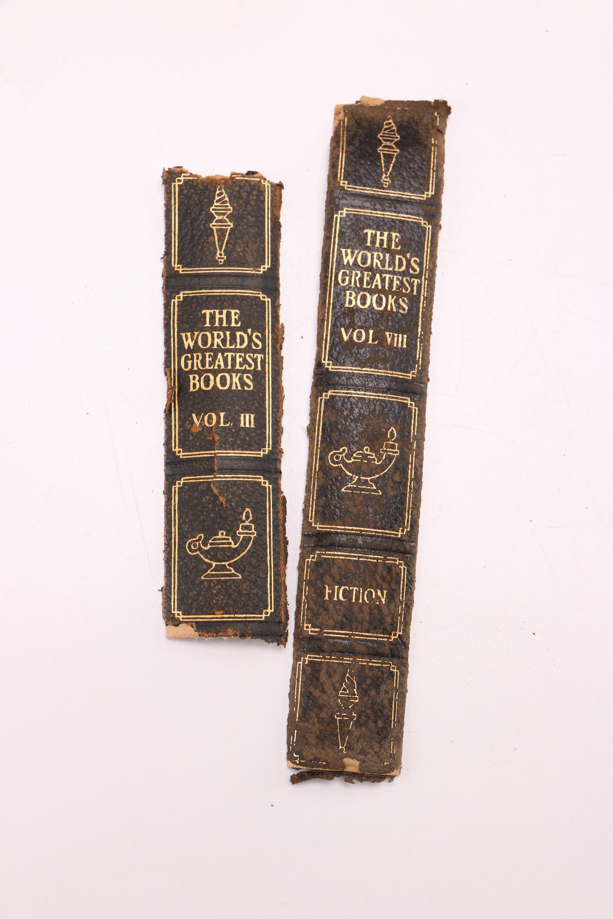 Antique Walter Scott Novel Collection