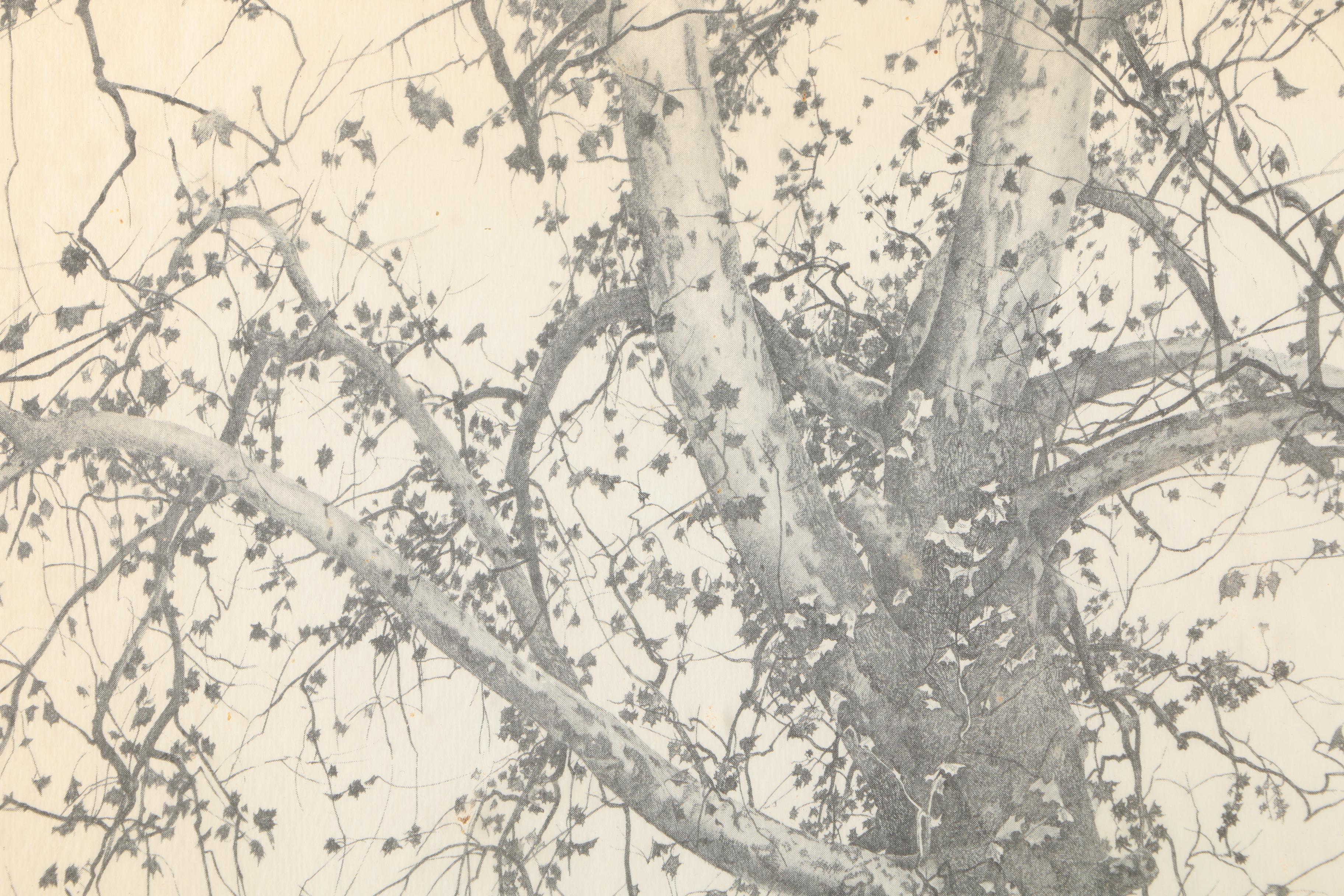 After Andrew Wyeth Halftone Reproduction Print on Paper "New Leaves"