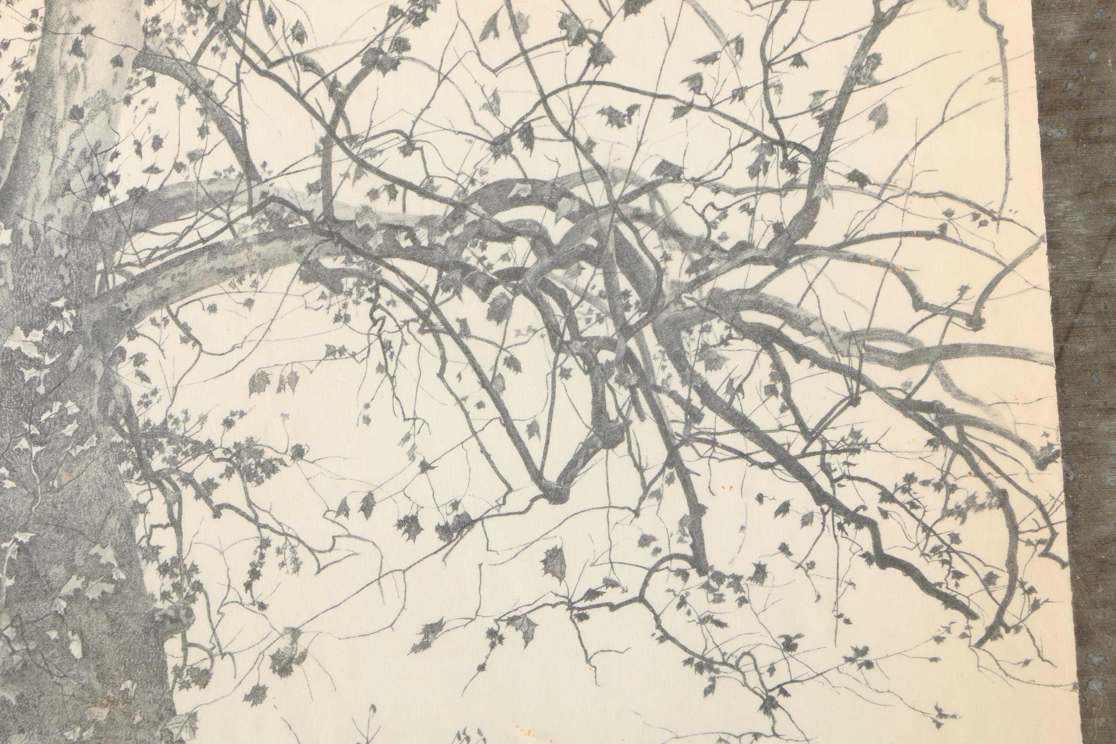 After Andrew Wyeth Halftone Reproduction Print on Paper "New Leaves"