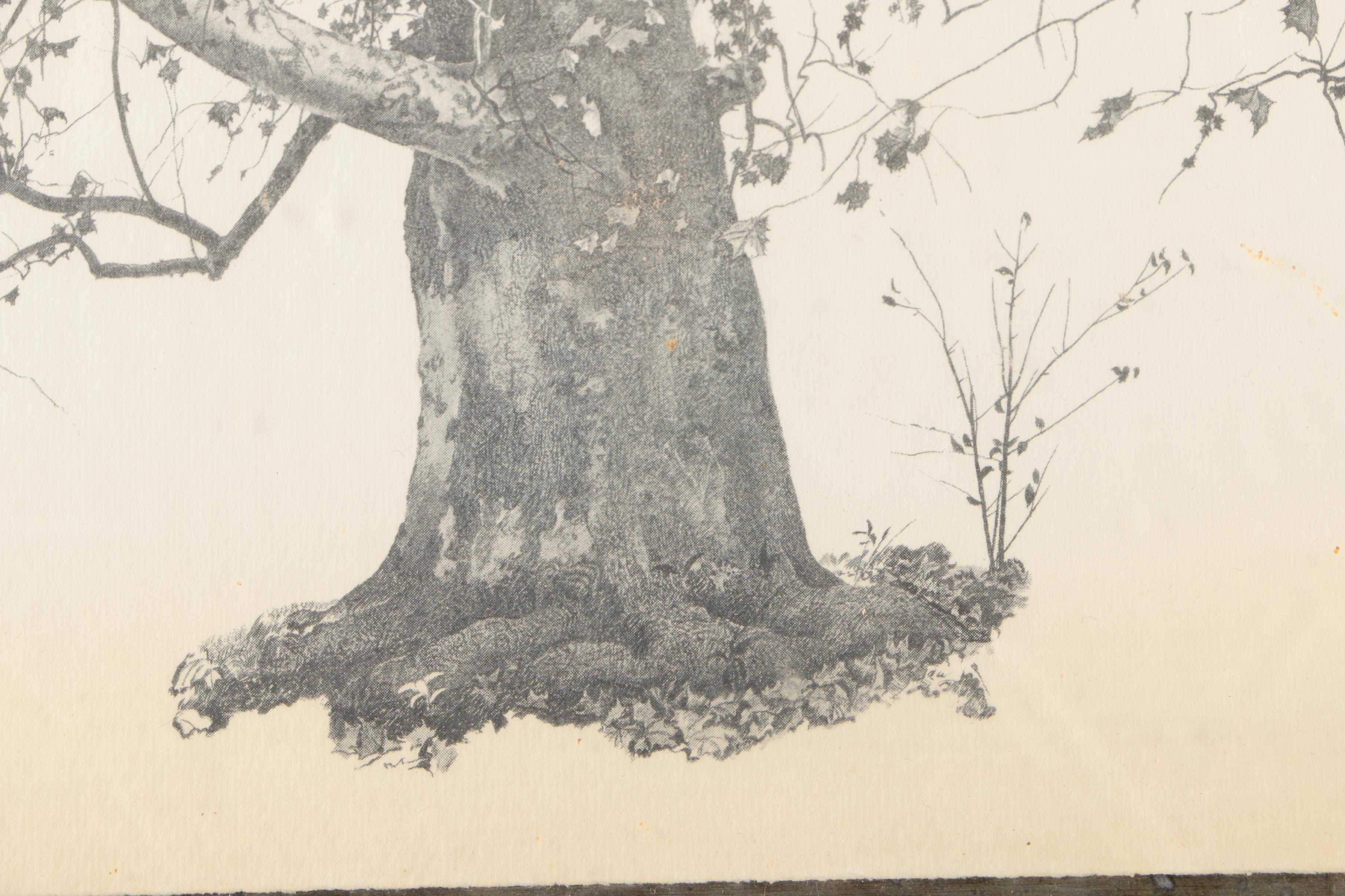 After Andrew Wyeth Halftone Reproduction Print on Paper "New Leaves"