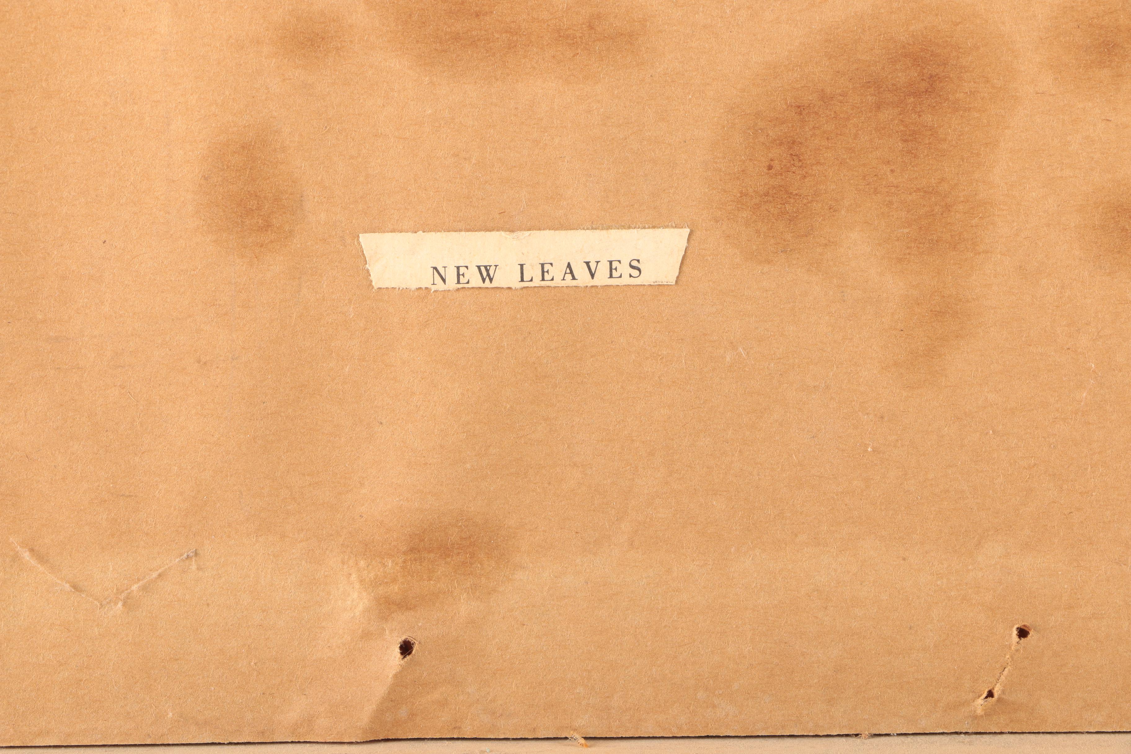 After Andrew Wyeth Halftone Reproduction Print on Paper "New Leaves"