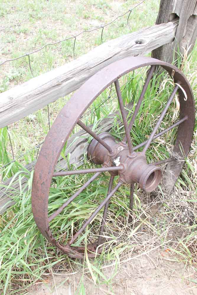 Collection of Antique Cast Iron Wheels