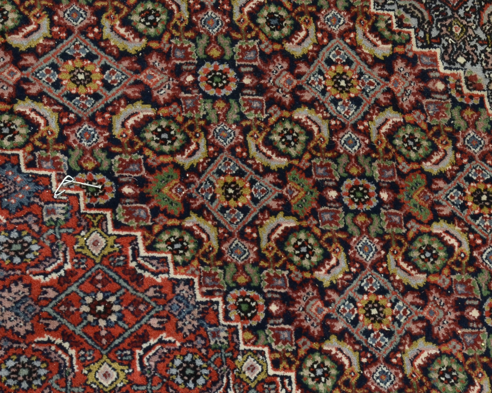 Hand-Knotted Persian-Inspired Area Rug
