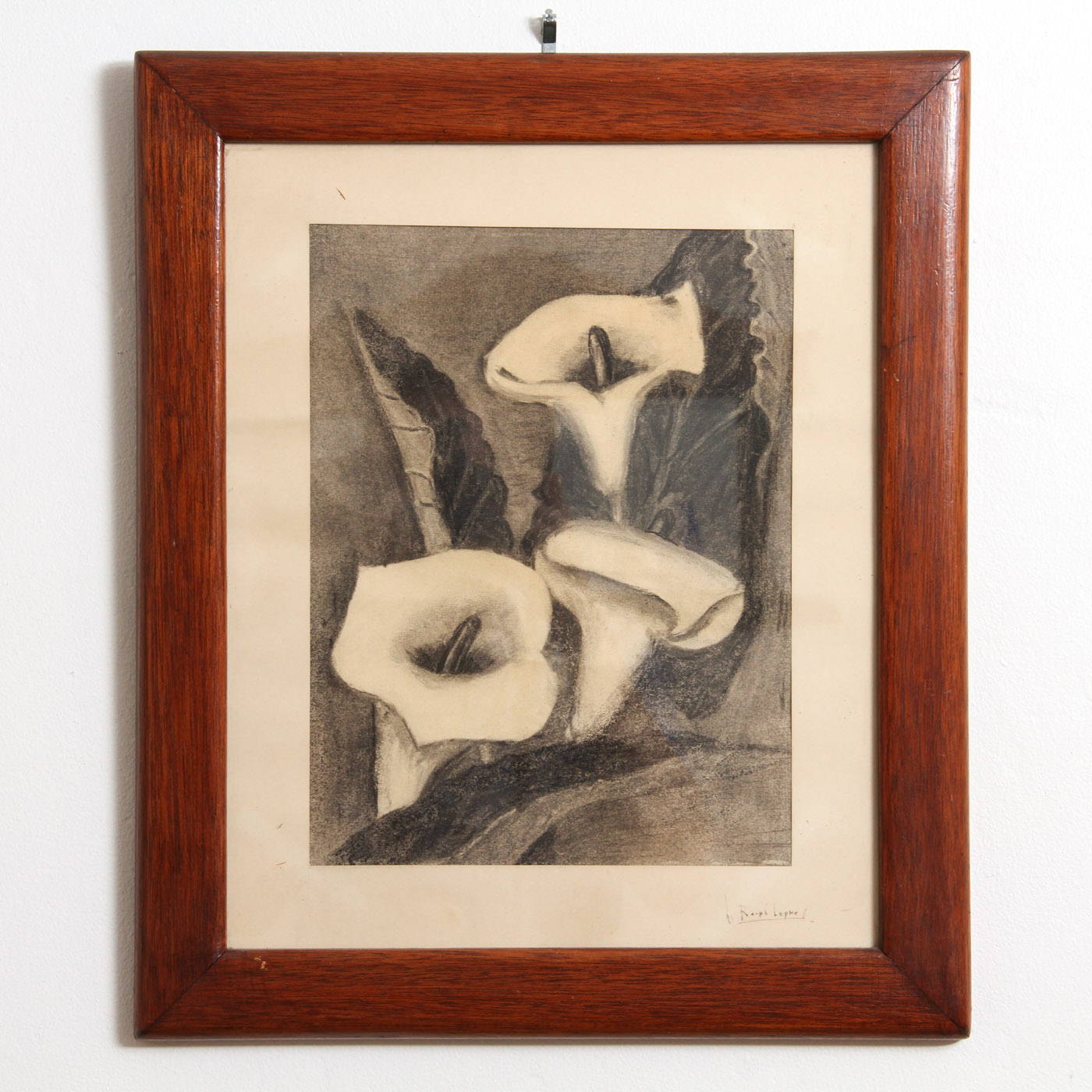 Ralph Lepre Charcoal Drawing on Paper Calla LIlies