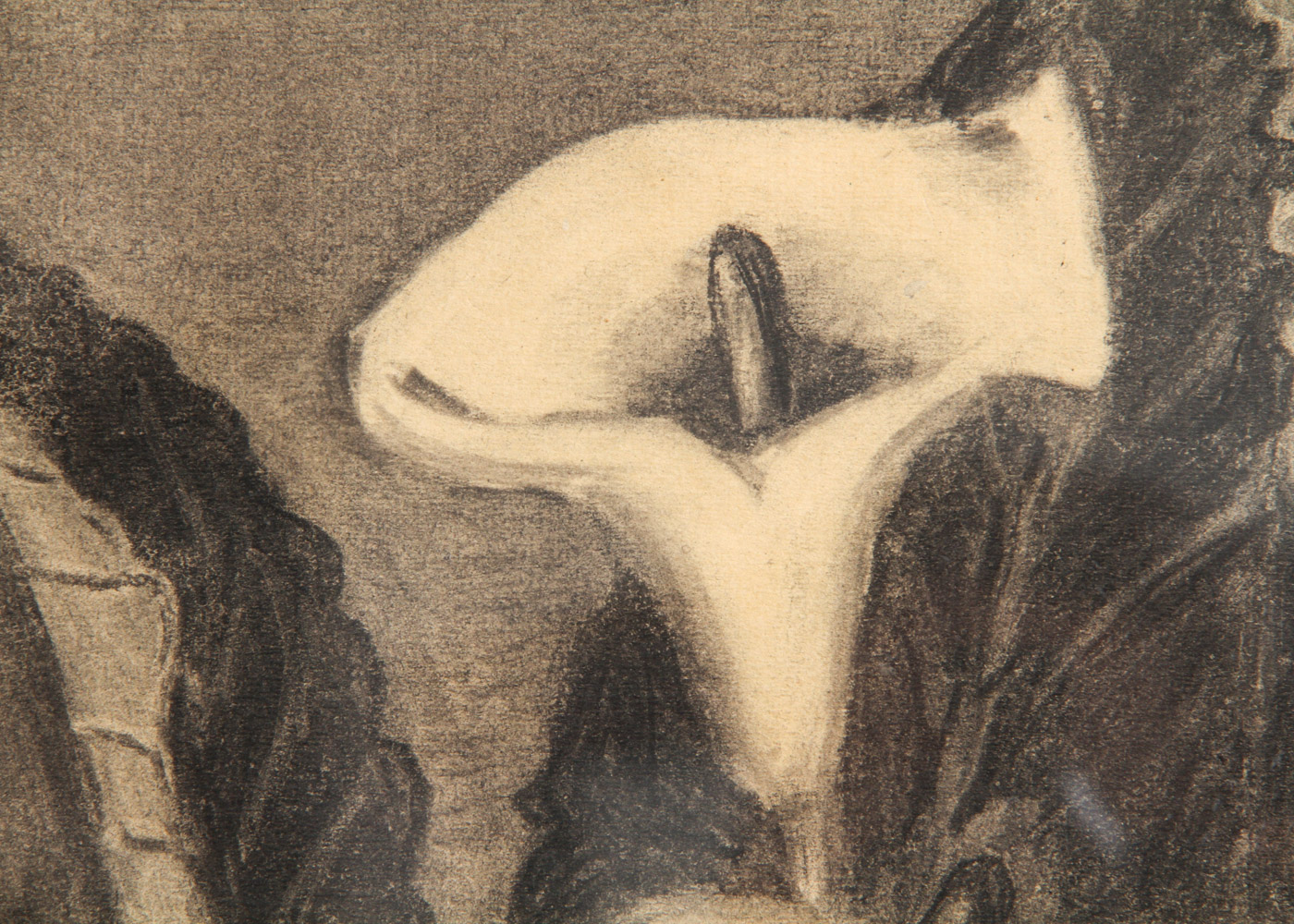 Ralph Lepre Charcoal Drawing on Paper Calla LIlies