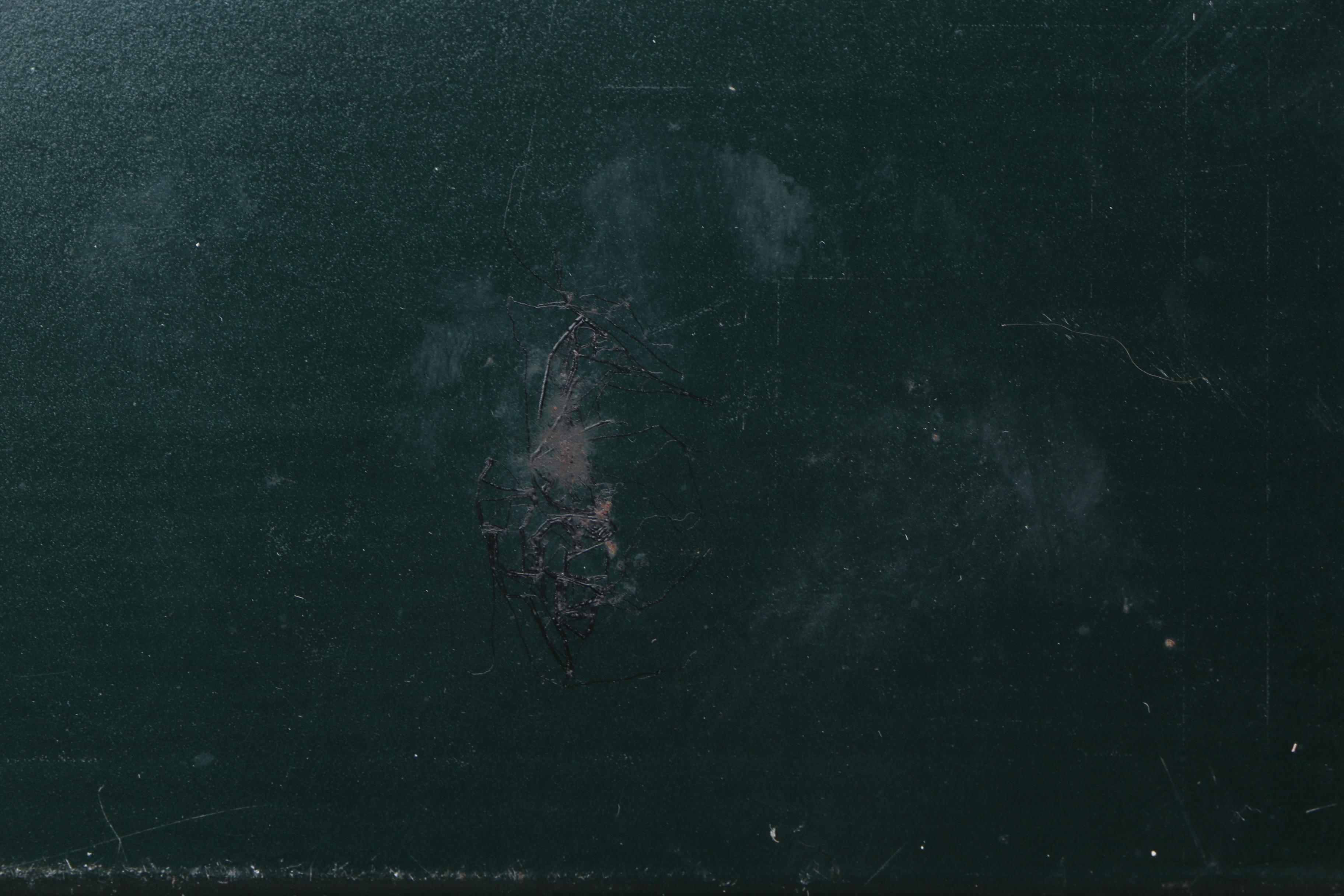 Vintage Coca-Cola Trays