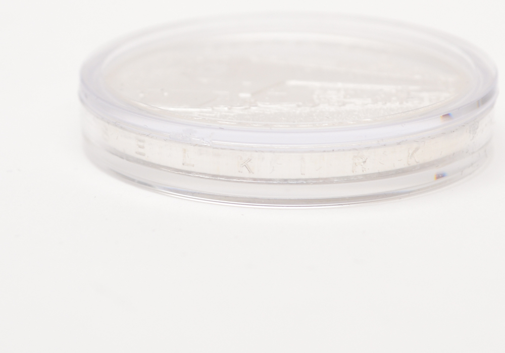 2010 Canadian $20 Fine Silver Coin "Selkirk"