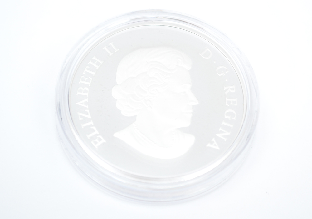 2013 Royal Canadian Mint "Louisbourg" Silver Proof Coin