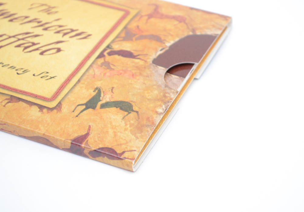 The American Buffalo Coin and Currency Set