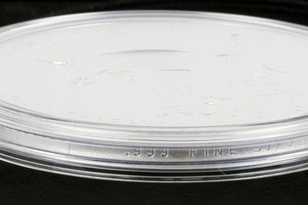 The Complete Collection of Sacagawea Golden Dollars