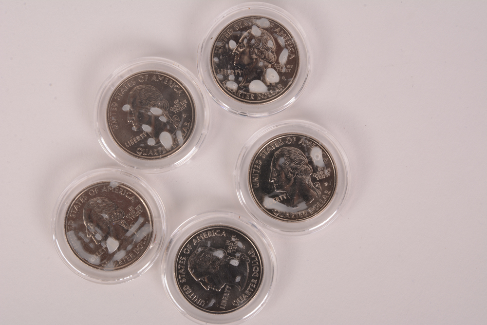 Large State Quarter Collection