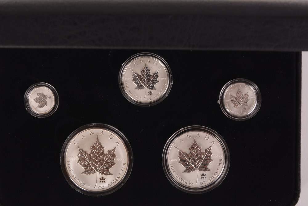 2004 Royal Canadian Mint  Silver Maple Leaf Privy Mark Set