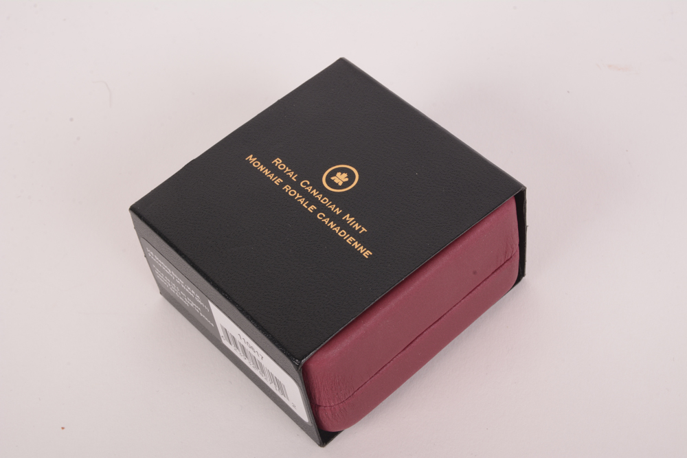 2011 Royal Canadian Mint "H.R.H. Prince Henry of Whales" High Relief Silver Coin