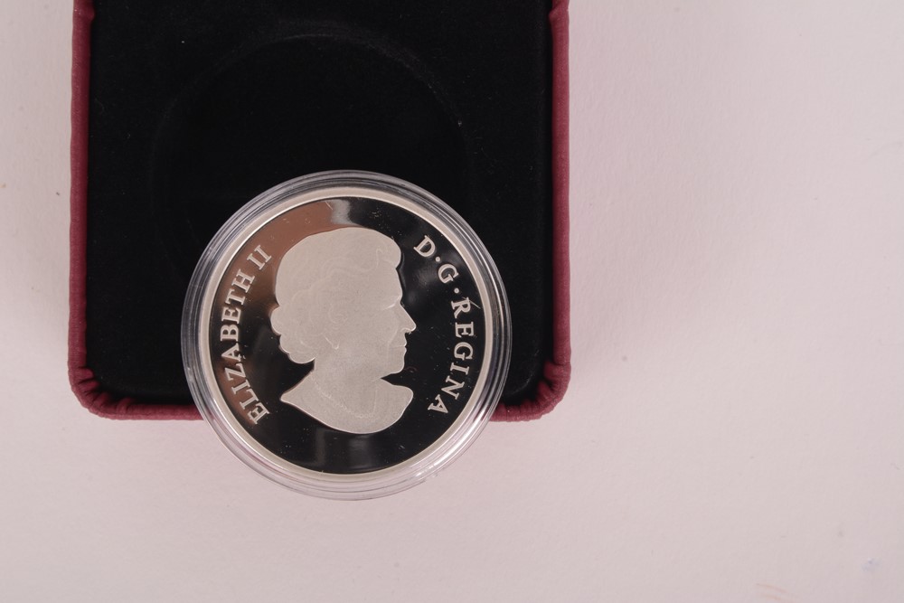 2010 Royal Canadian Mint "Canada Voyageur" Silver Proof Coin