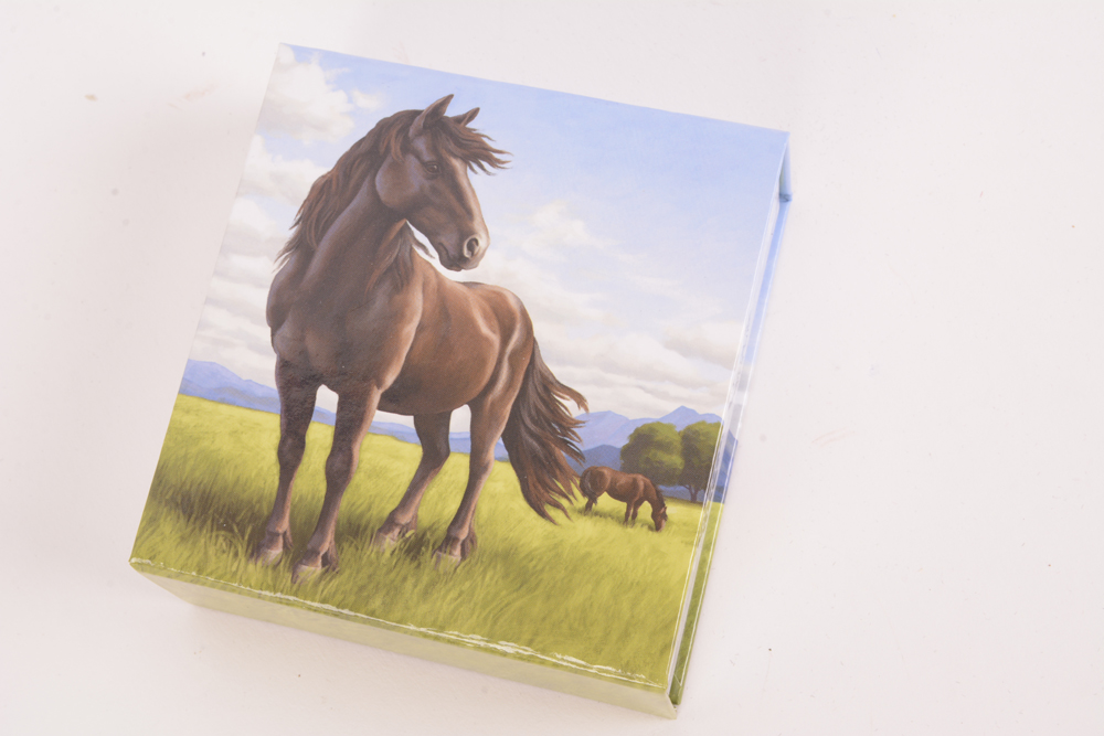 2015 Royal Canadian Mint "Horse" $100 Matte Proof Silver Coin