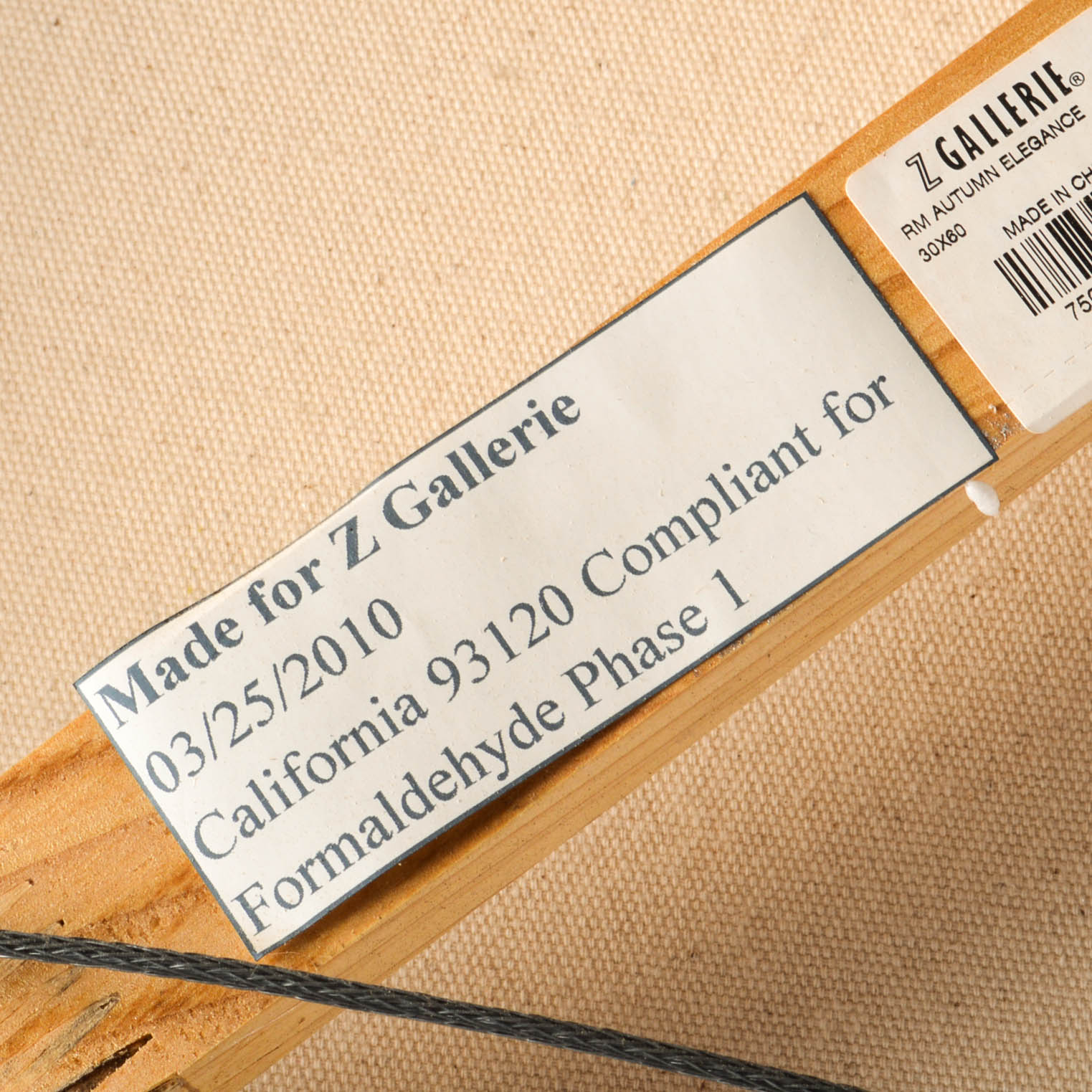 Z Gallerie Contemporary Giclee on Canvas "Autumn Elegance"