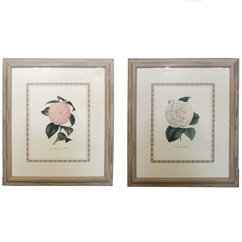 Horticulture Offset Lithograph Prints on Paper