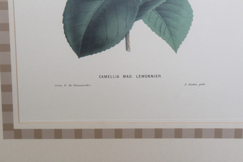 Horticulture Offset Lithograph Prints on Paper
