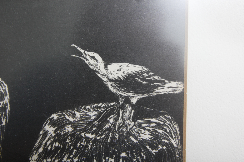Jane Heckett Knife Etching "Crying Gull"