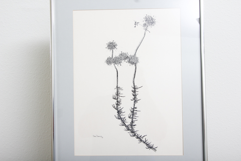 Sue Baker Ink Drawing on Paper