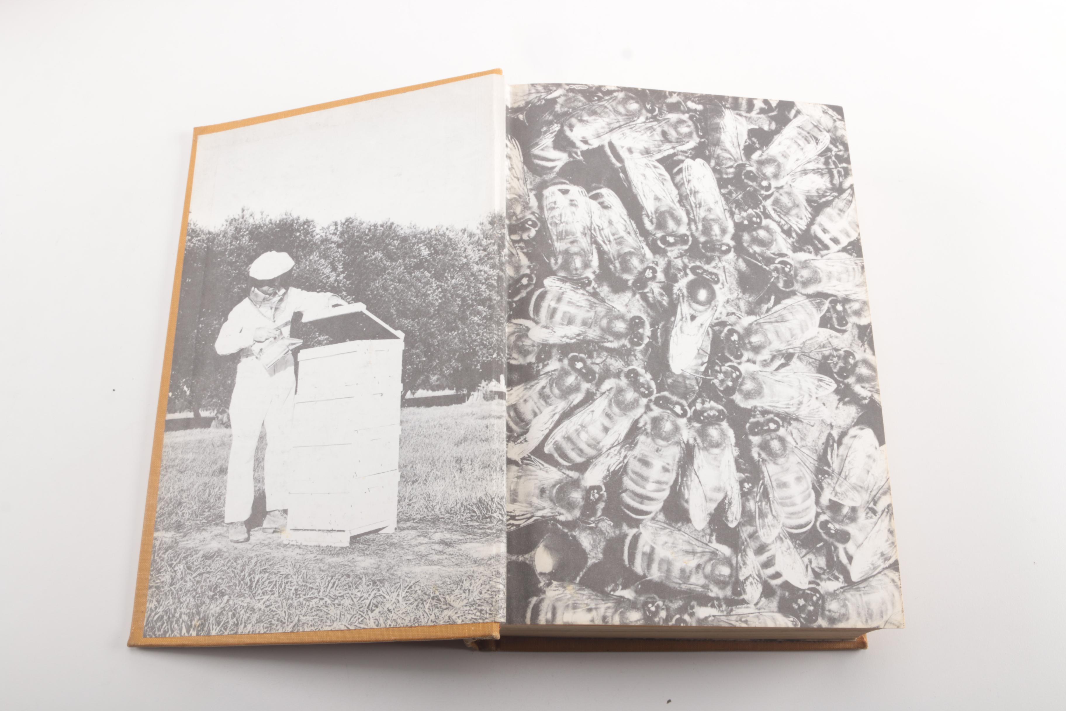 Assorted Vintage Cloth Bound Books