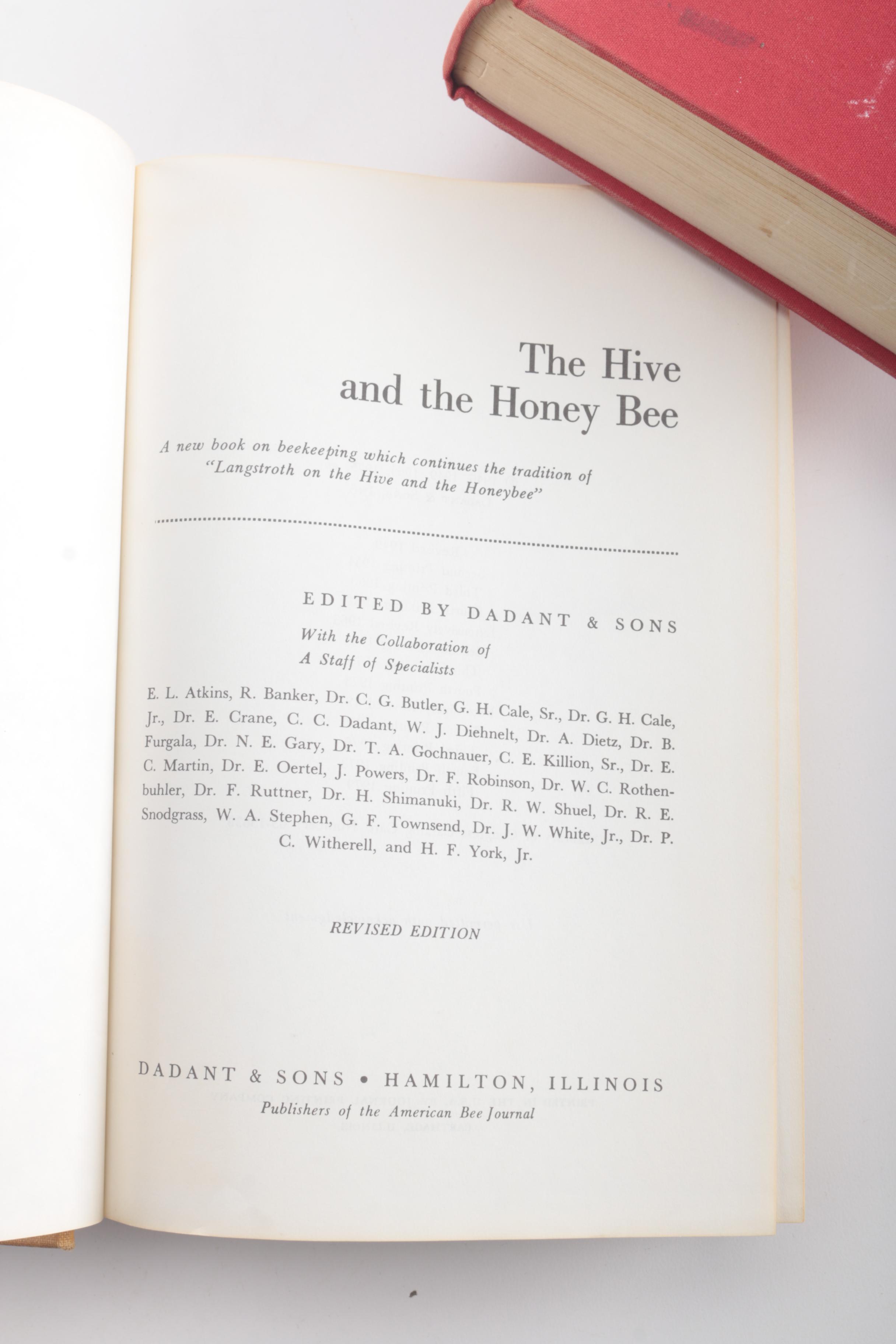 Assorted Vintage Cloth Bound Books