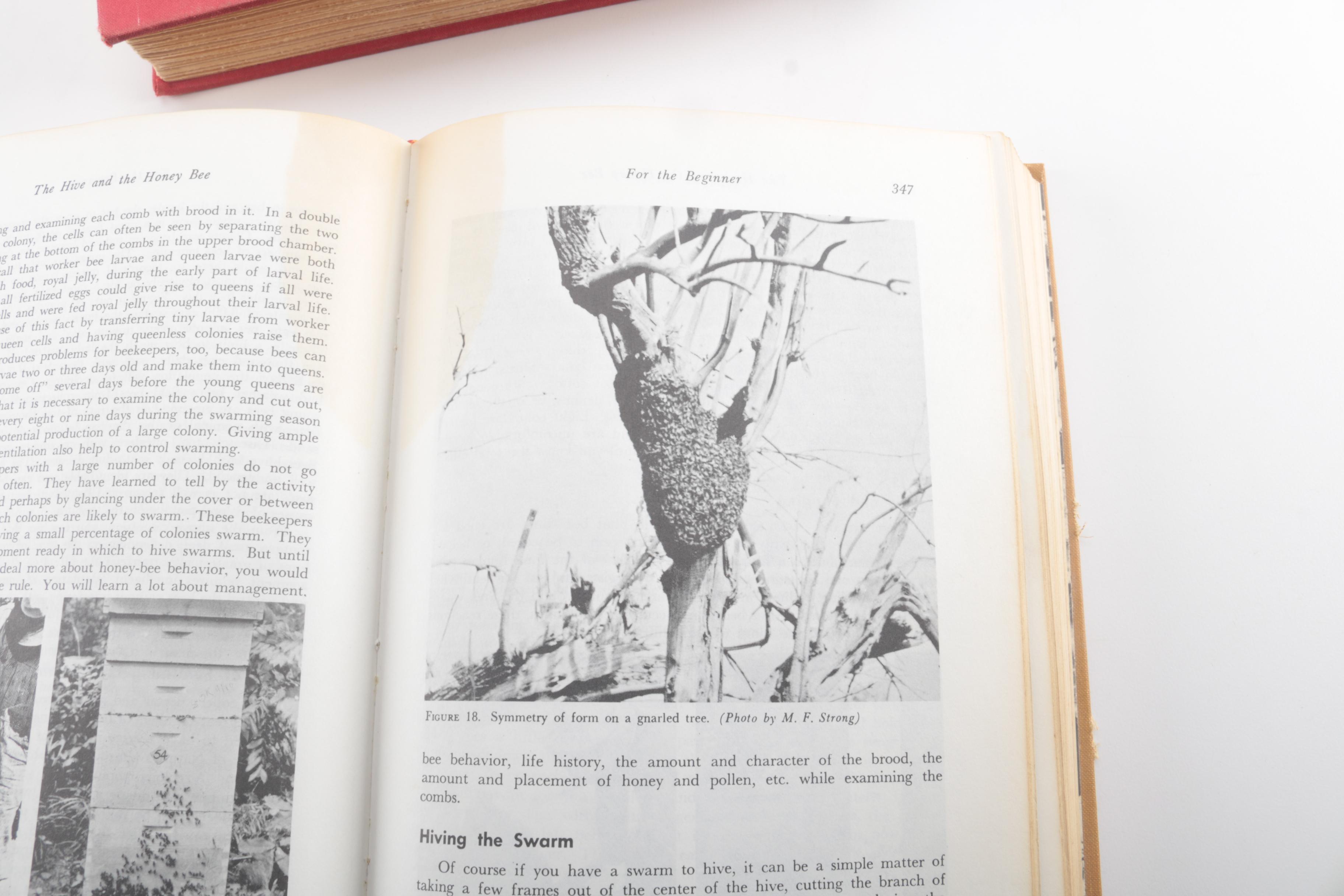 Assorted Vintage Cloth Bound Books
