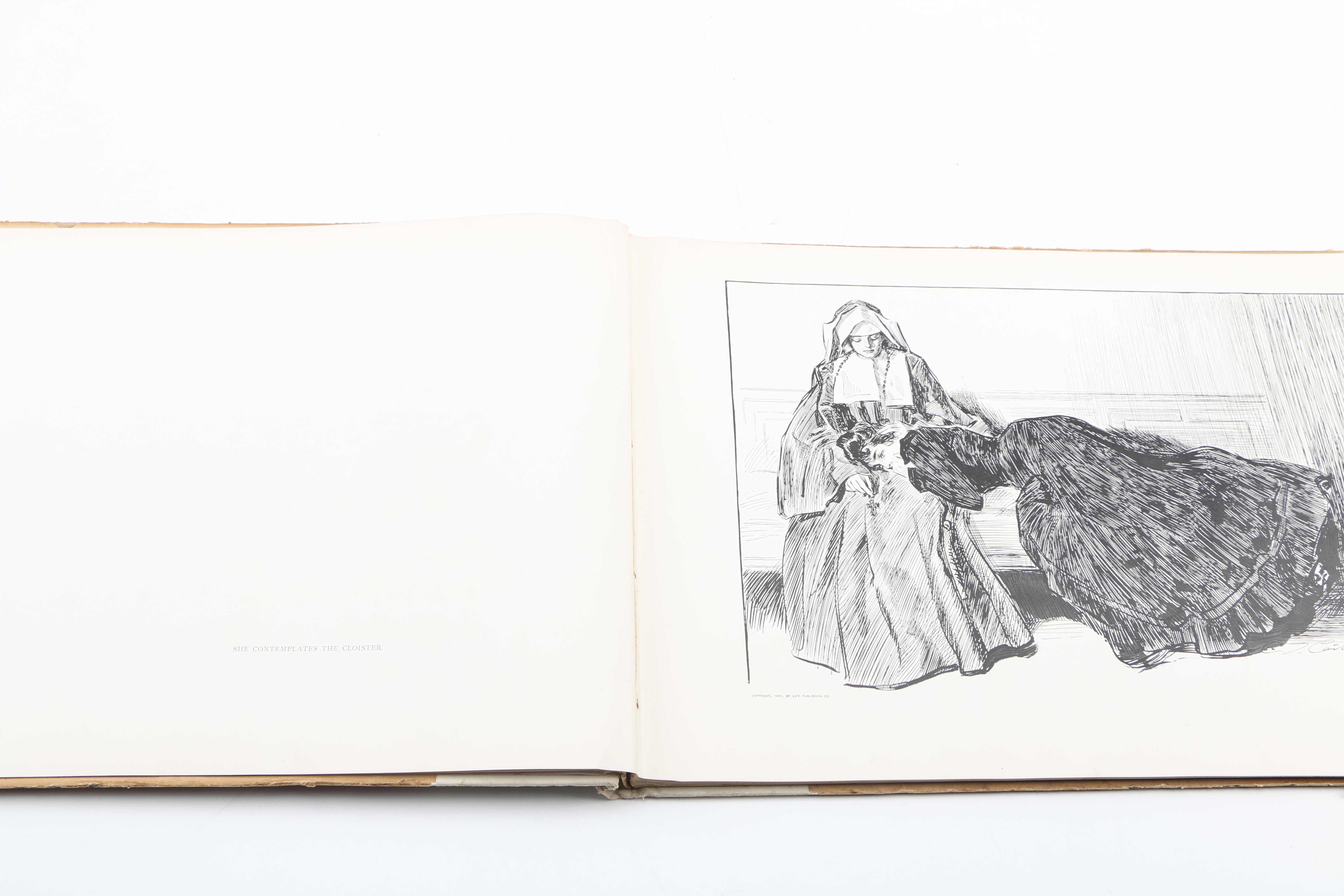 1901 First Edition "A Widow and Her Friends" by Charles Dana Gibson