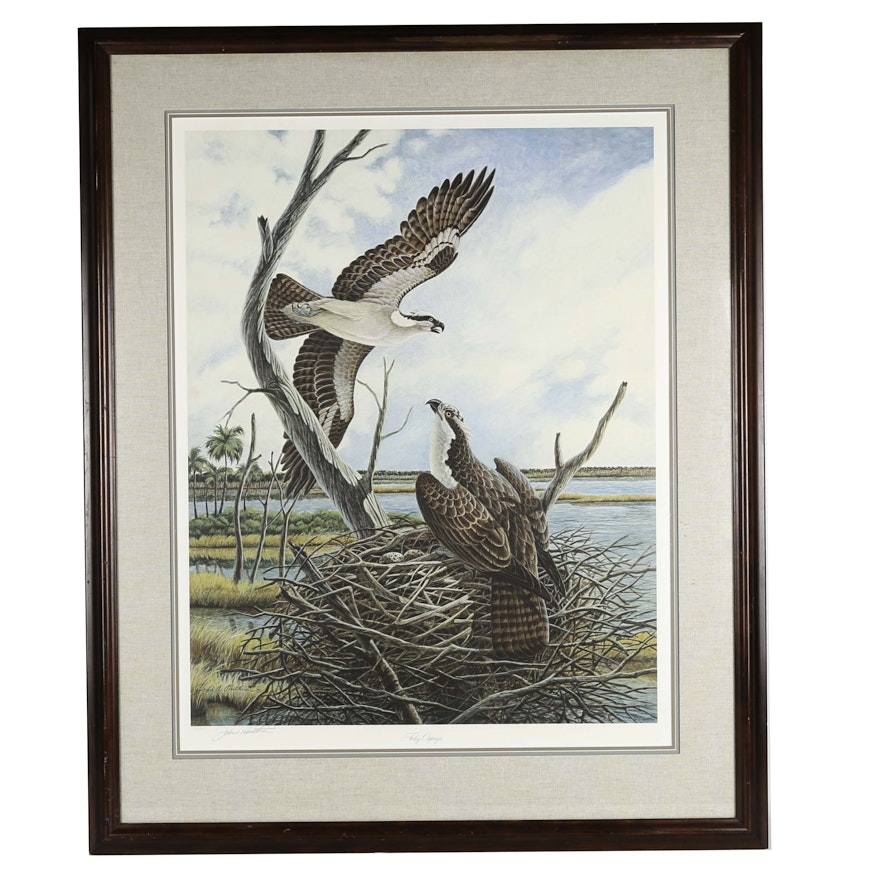 John Ruthven Signed Limited Edition Offset Lithograph "Foley Ospreys"