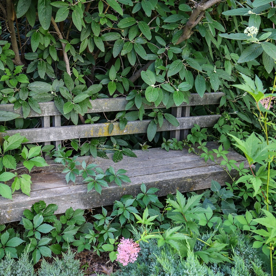 Weathered Wooden Garden Bench