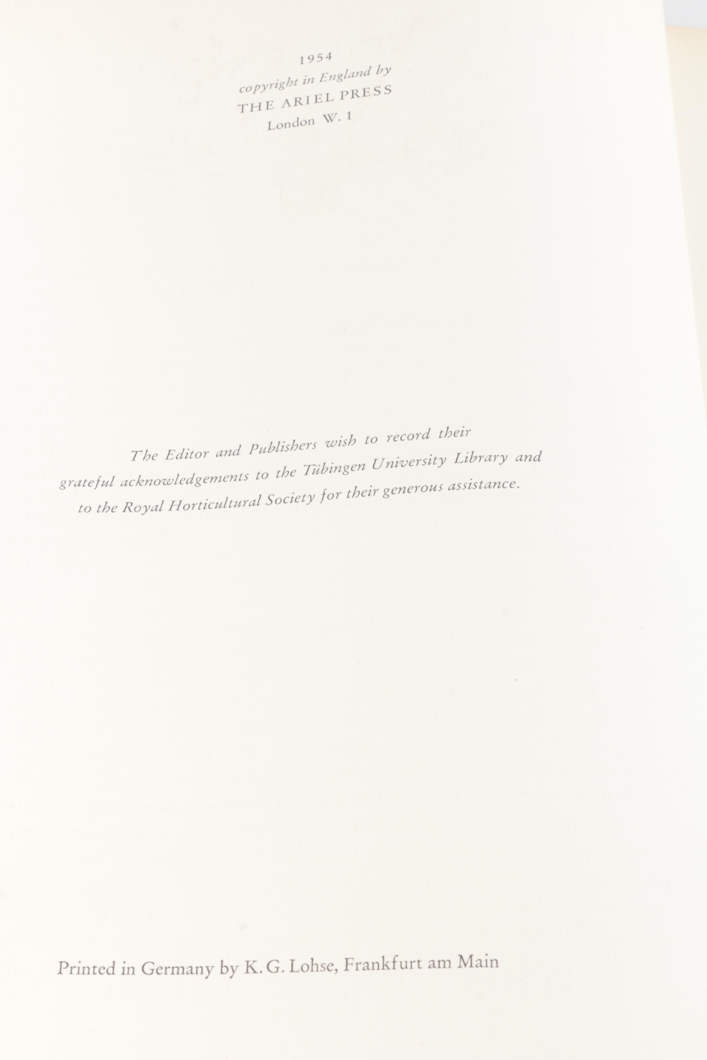 "A Treasury of Art Masterpieces" & "Roses" Art Books