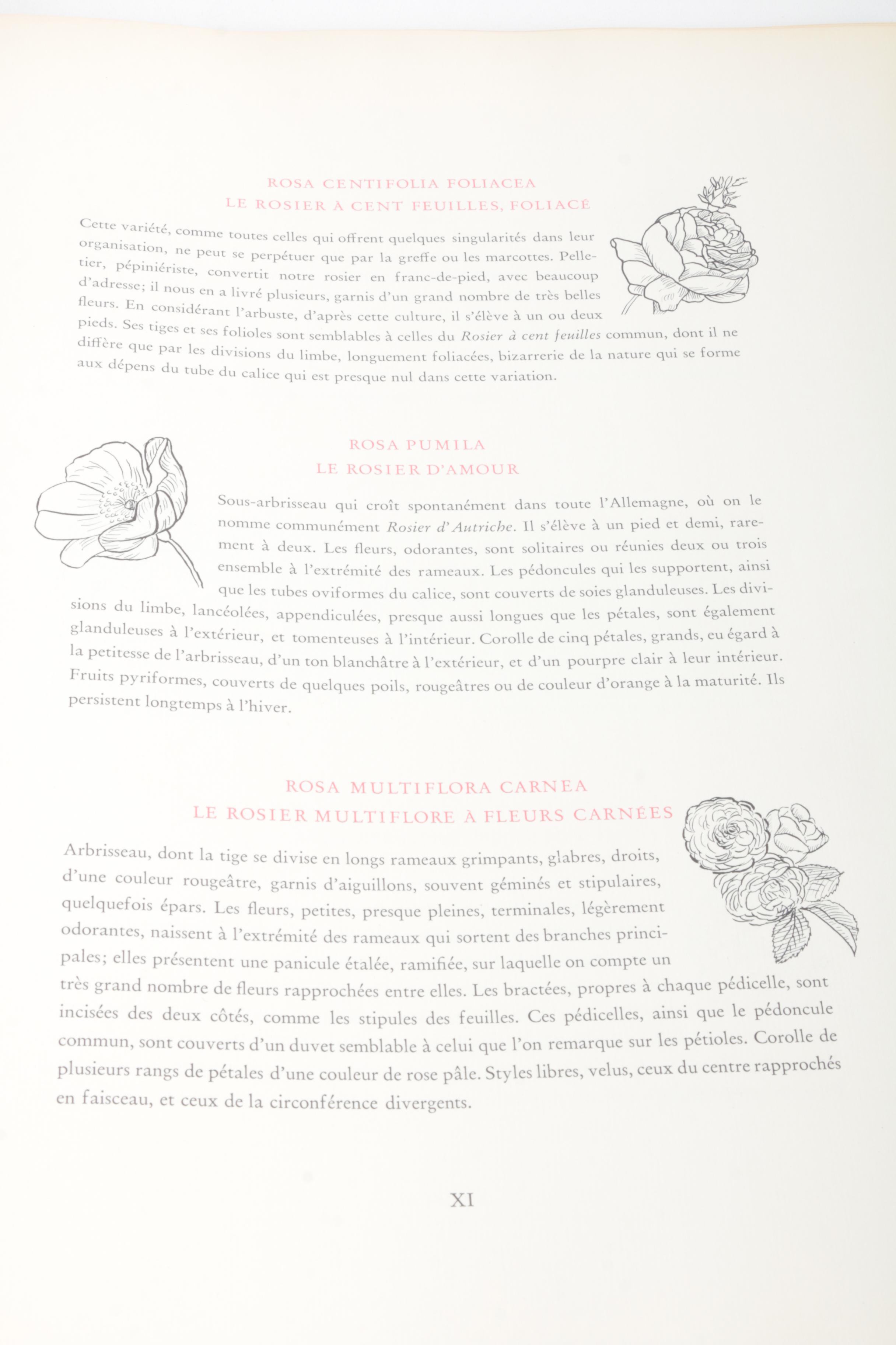 "A Treasury of Art Masterpieces" & "Roses" Art Books